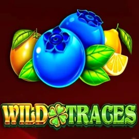 Official Slots logo: Wild Traces by Amusnet Interactive at Punterz Casino